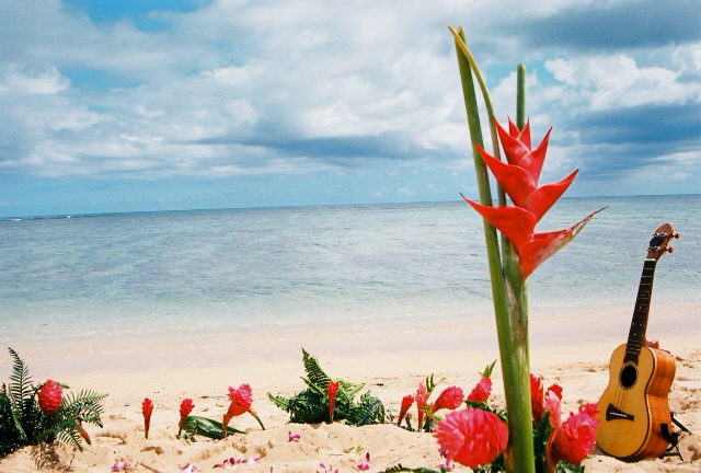 red Hawaiian flowers with a ukulele on the beach for a Hawaiian wedding
